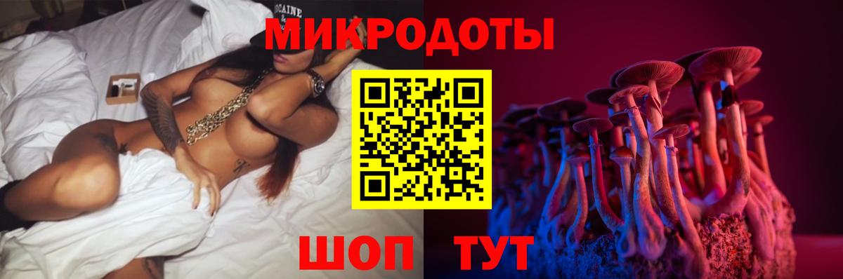 Выборг  Псилоцибиновые грибы MAGIC MUSHROOMS  Вход с VPN 